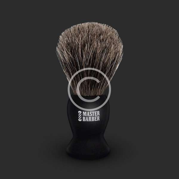 Absorptive Brush